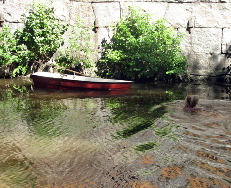 batraddare1 batraddare1