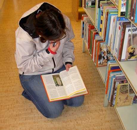 sofie_letar_fakta sofie_letar_fakta