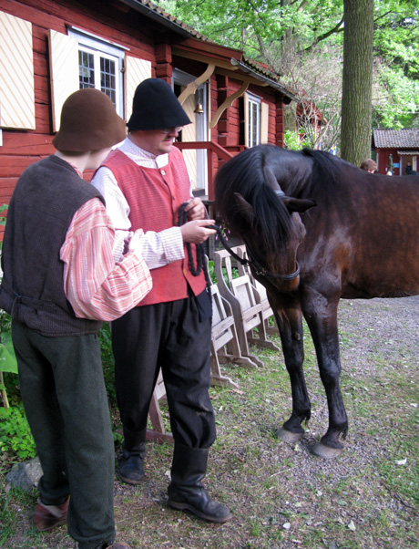 drangar_med_hast2 drangar_med_hast2