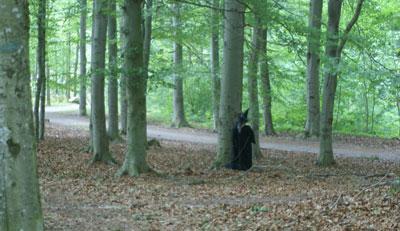 sagovandring14 sagovandring14