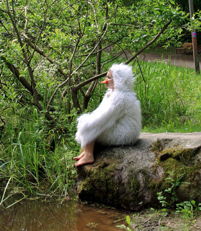 sagovandring2010_1 sagovandring2010_1