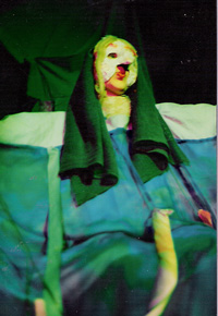 solen_rovarna solen_rovarna