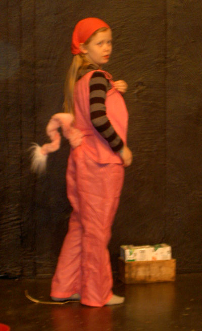 tre_sma_grisar tre_sma_grisar