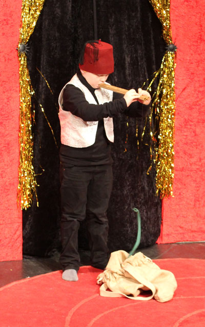 ormtjusare1 ormtjusare1